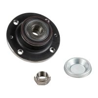 Zestaw piasty koła z łożyskiem tylnego koła