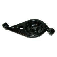 Wahacz tylny lewy z płytą sprężynową