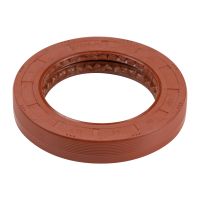 Wejście tylnej osi Wedi