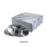 Tylna tarcza hamulcowa pełna 278 Ø