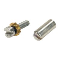 Element gwintowany z kołem zębatym, regulator hamulca postojowego