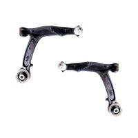 Zestaw wahacza wahacza 2-częściowy