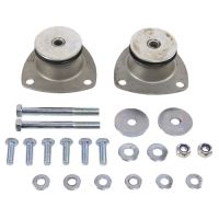 Zestaw cichych krzewów z przodu