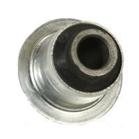 Cichy krzew sprężyny liściowej