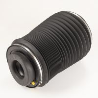 Miech zawieszenia pneumatycznego, tył lewy