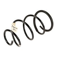 Fahrwerksfeder vorne