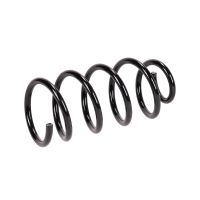 Sprężyna tylnego zawieszenia