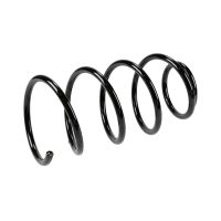 Fahrwerksfeder hinten