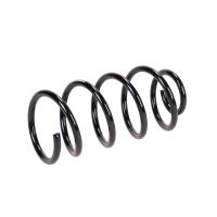 Sprężyna zawieszenia z tyłu