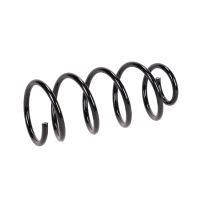 Sprężyna zawieszenia z tyłu