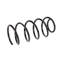 Sprężyna tylnego zawieszenia