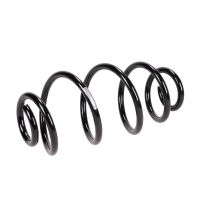 Sprężyna tylnego zawieszenia