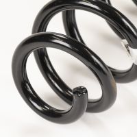 Spiralfeder hinten