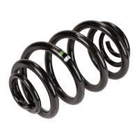 Spiralfeder hinten