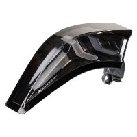 Tylne światło zewnętrzne, lewe