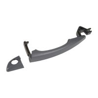 Türgriff links Fahrzeughecktür