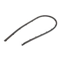 Türdichtung hinten links