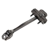 Türspanner hintere Tür