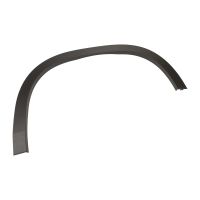 Listwa ozdobna na przedni prawy błotnik