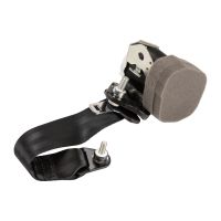 Tylny lewy pas bezpieczeństwa