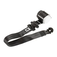 Sicherheitsgurt vorne