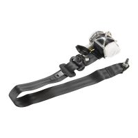 Sicherheitsgut vorne links