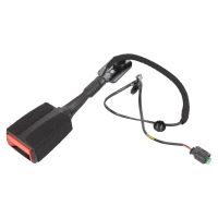 Bicz pasowy na lewym przodzie