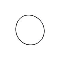 O-ring wspomagania hamulca pompy próżniowej